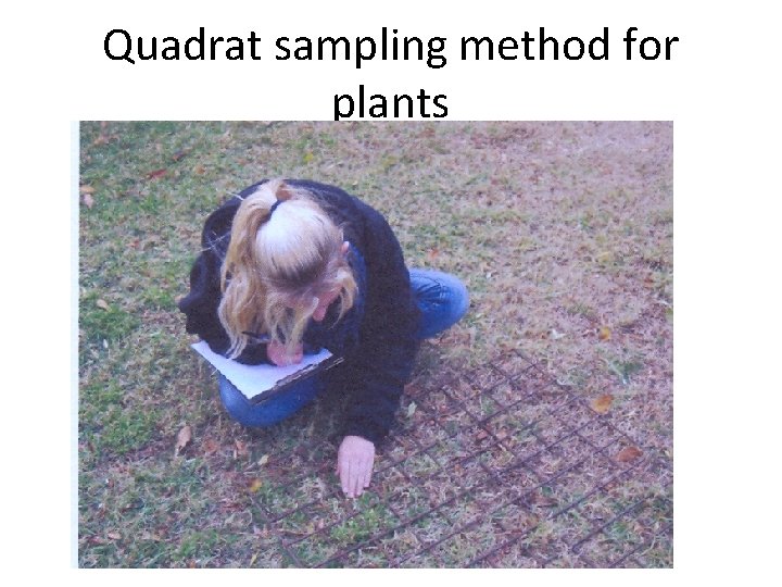 Quadrat sampling method for plants Quadrat sampling method for plants