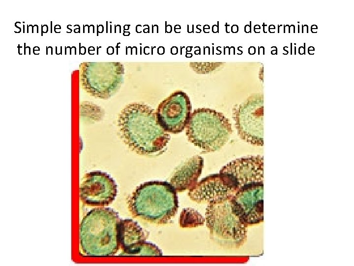 Simple sampling can be used to determine the number of micro organisms on a Simple sampling can be used to determine the number of micro organisms on a