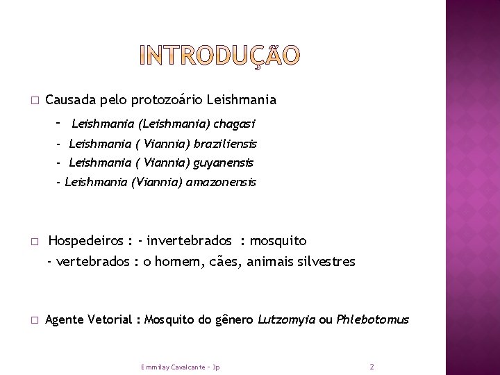 � Causada pelo protozoário Leishmania - Leishmania (Leishmania) chagasi - Leishmania ( Viannia) braziliensis