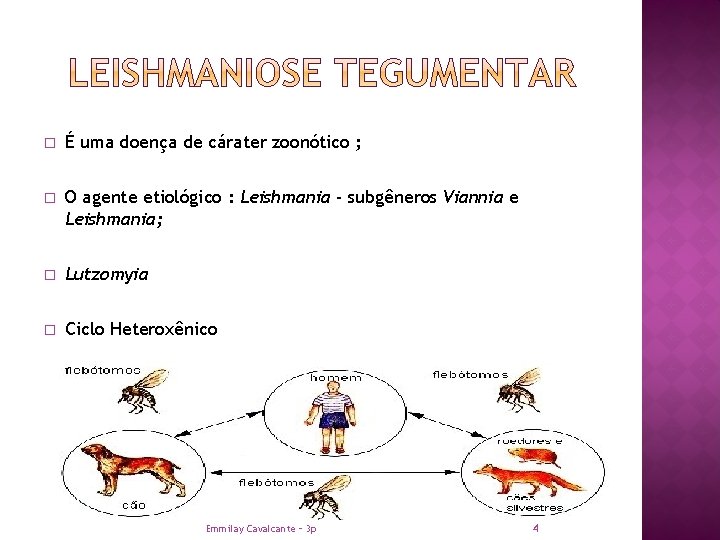 � É uma doença de cárater zoonótico ; � O agente etiológico : Leishmania