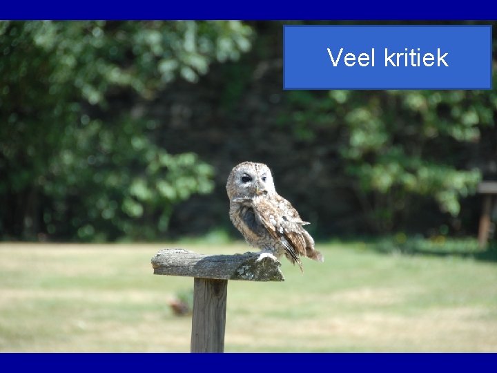 Veel kritiek 