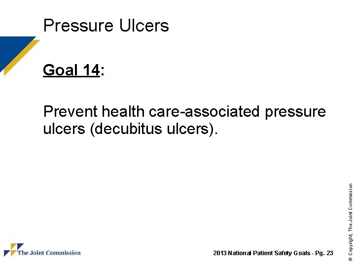 Pressure Ulcers Goal 14: 2013 National Patient Safety Goals - Pg. 23 © Copyright,