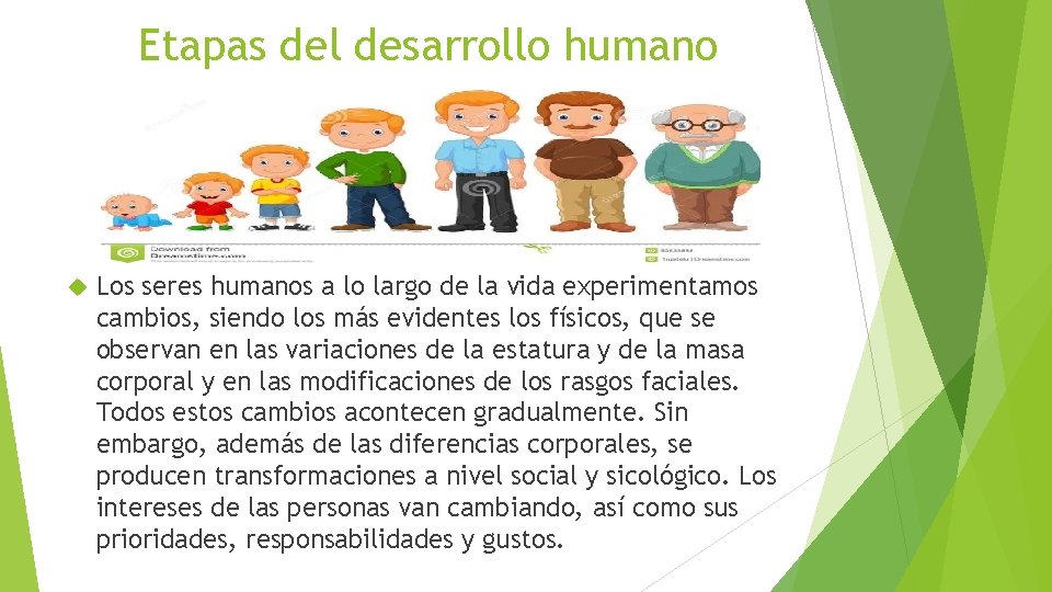 Etapas del desarrollo humano Los seres humanos a lo largo de la vida experimentamos