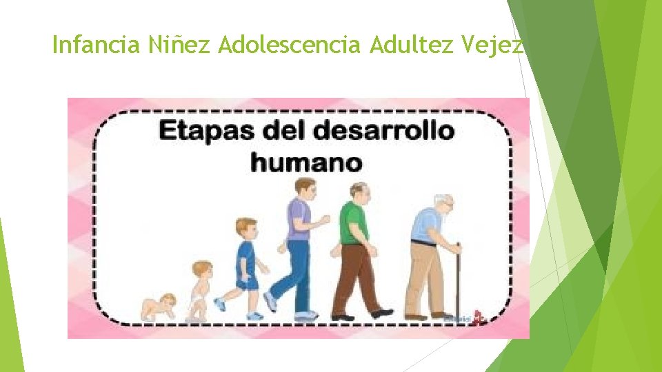 Infancia Niñez Adolescencia Adultez Vejez 