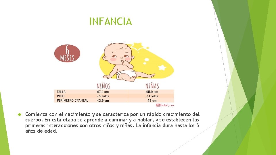 INFANCIA Comienza con el nacimiento y se caracteriza por un rápido crecimiento del cuerpo.