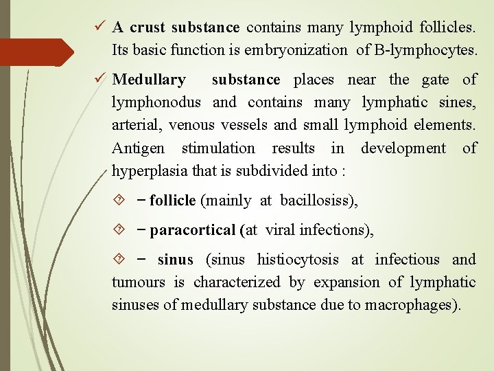  A crust substance contains many lymphoid follicles. Its basic function is embryonization of