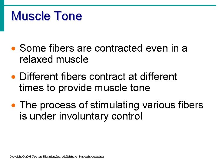 Muscle Tone · Some fibers are contracted even in a relaxed muscle · Different