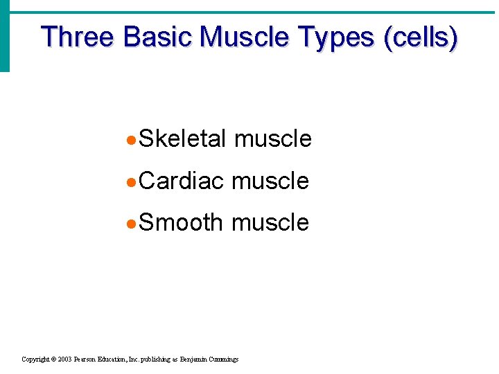 Three Basic Muscle Types (cells) · Skeletal muscle · Cardiac muscle · Smooth muscle