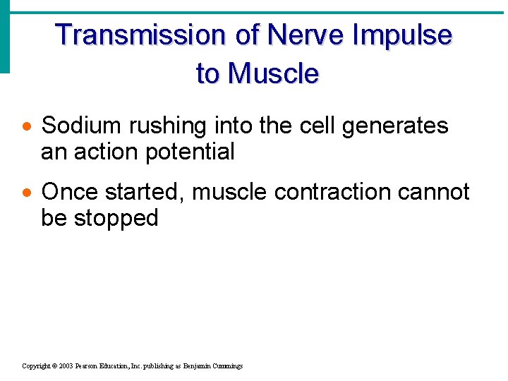 Transmission of Nerve Impulse to Muscle · Sodium rushing into the cell generates an