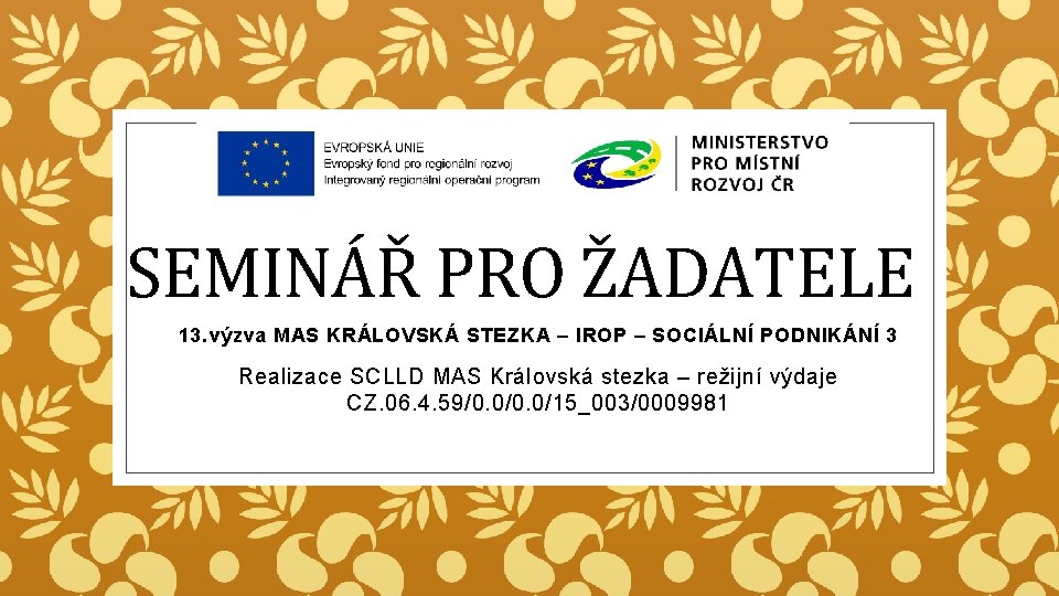 SEMINÁŘ PRO ŽADATELE 13. výzva MAS KRÁLOVSKÁ STEZKA – IROP – SOCIÁLNÍ PODNIKÁNÍ 3