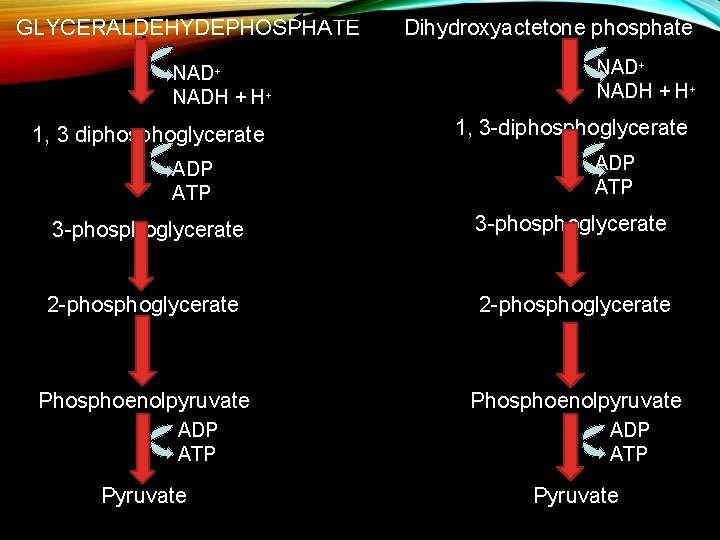 GLYCERALDEHYDEPHOSPHATE NAD+ NADH + H+ 1, 3 diphosphoglycerate ADP ATP Dihydroxyactetone phosphate NAD+ NADH