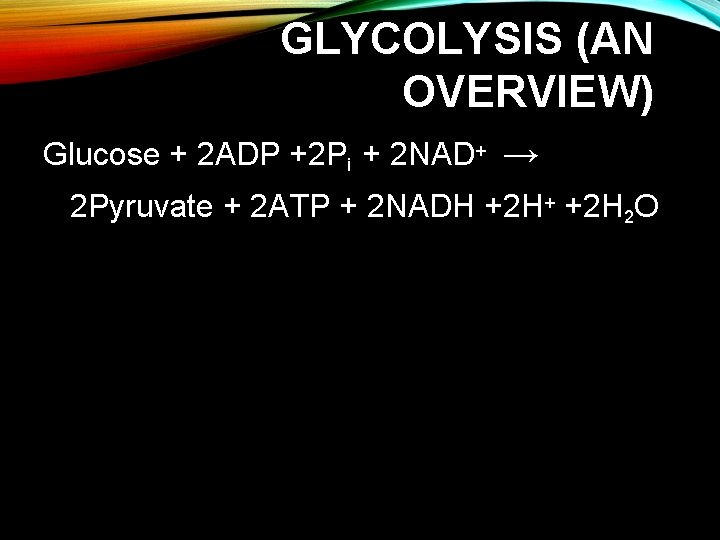GLYCOLYSIS (AN OVERVIEW) Glucose + 2 ADP +2 Pi + 2 NAD+ → 2