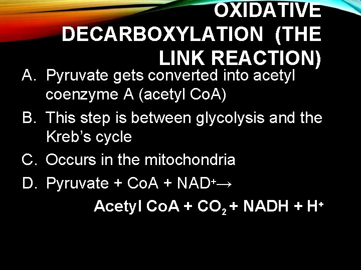 OXIDATIVE DECARBOXYLATION (THE LINK REACTION) A. Pyruvate gets converted into acetyl coenzyme A (acetyl