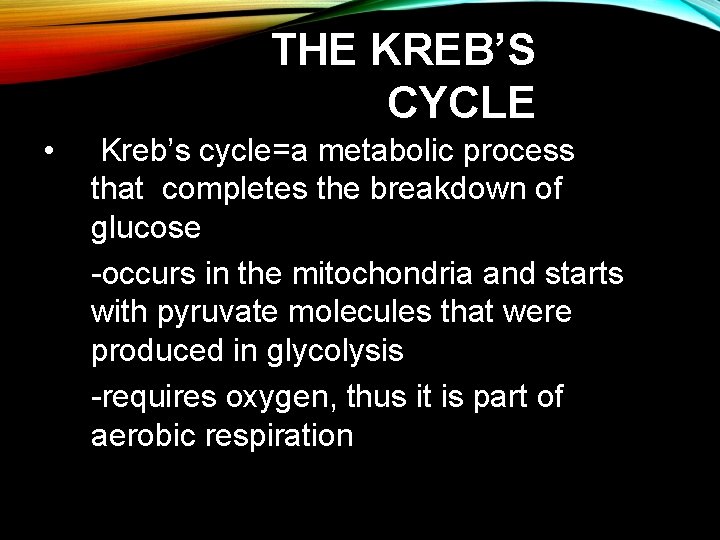 THE KREB’S CYCLE • Kreb’s cycle=a metabolic process that completes the breakdown of glucose