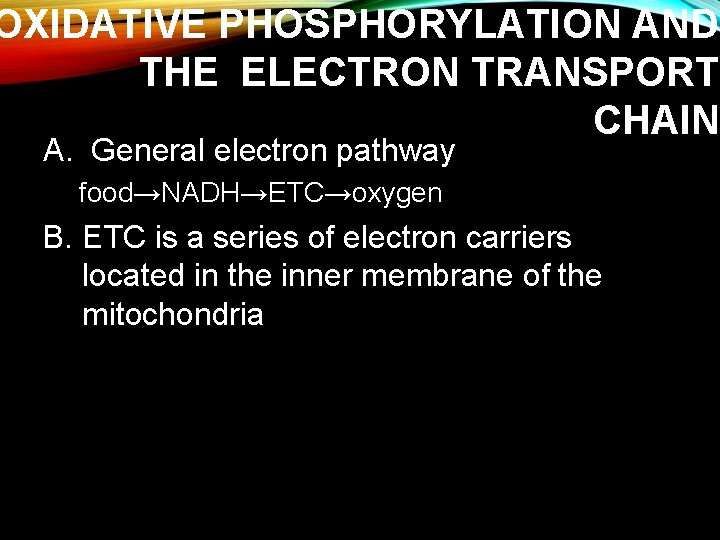 OXIDATIVE PHOSPHORYLATION AND THE ELECTRON TRANSPORT CHAIN A. General electron pathway food→NADH→ETC→oxygen B. ETC