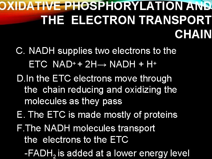 OXIDATIVE PHOSPHORYLATION AND THE ELECTRON TRANSPORT CHAIN C. NADH supplies two electrons to the