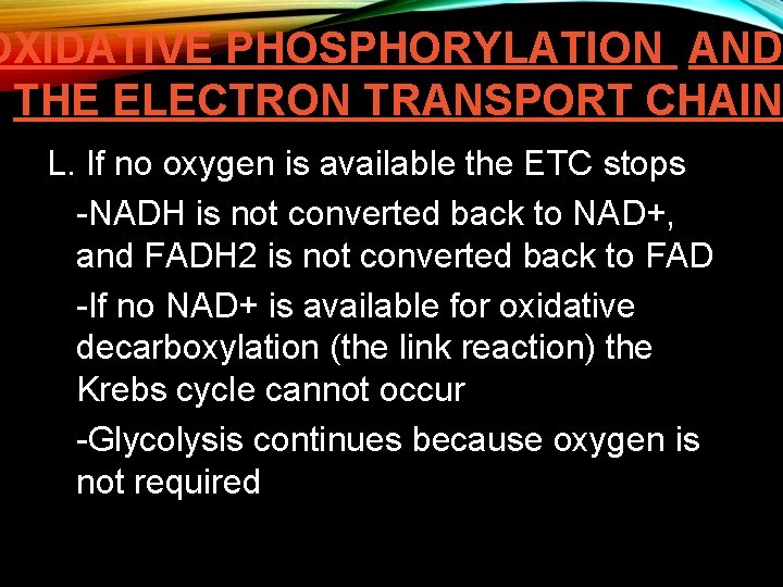 OXIDATIVE PHOSPHORYLATION AND THE ELECTRON TRANSPORT CHAIN L. If no oxygen is available the