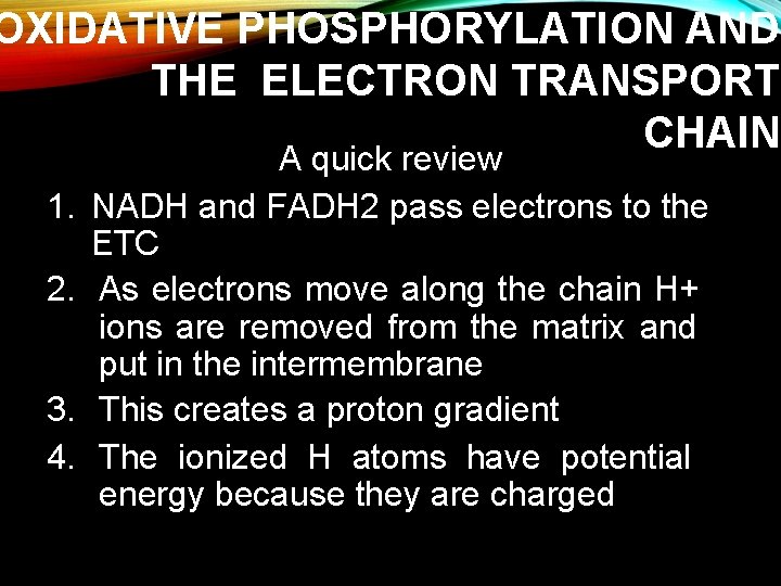 OXIDATIVE PHOSPHORYLATION AND THE ELECTRON TRANSPORT CHAIN 1. 2. 3. 4. A quick review