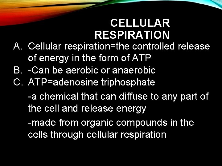 CELLULAR RESPIRATION A. Cellular respiration=the controlled release of energy in the form of ATP