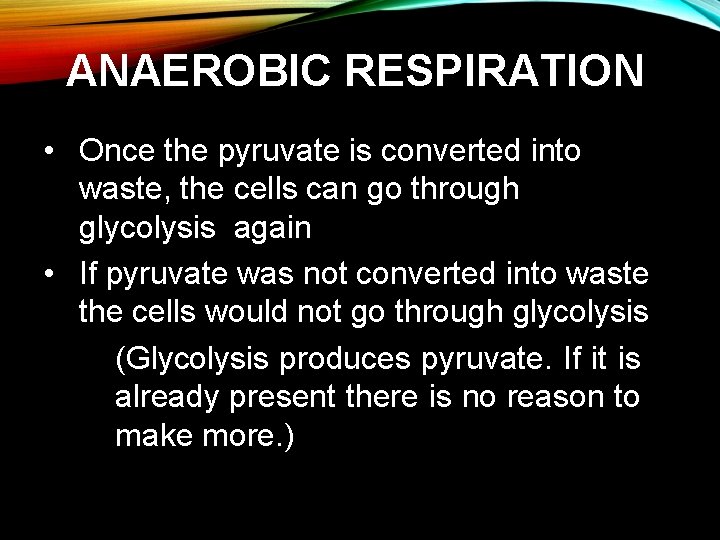 ANAEROBIC RESPIRATION • Once the pyruvate is converted into waste, the cells can go