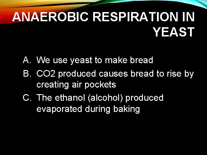 ANAEROBIC RESPIRATION IN YEAST A. We use yeast to make bread B. CO 2