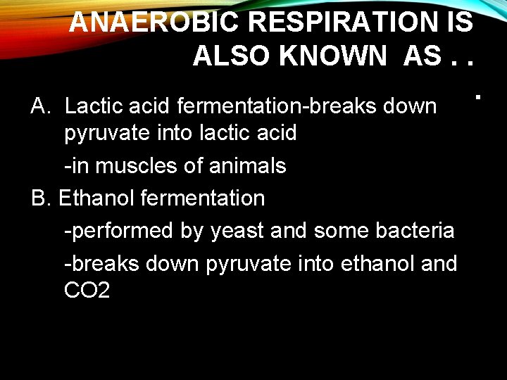ANAEROBIC RESPIRATION IS ALSO KNOWN AS. . A. Lactic acid fermentation-breaks down pyruvate into