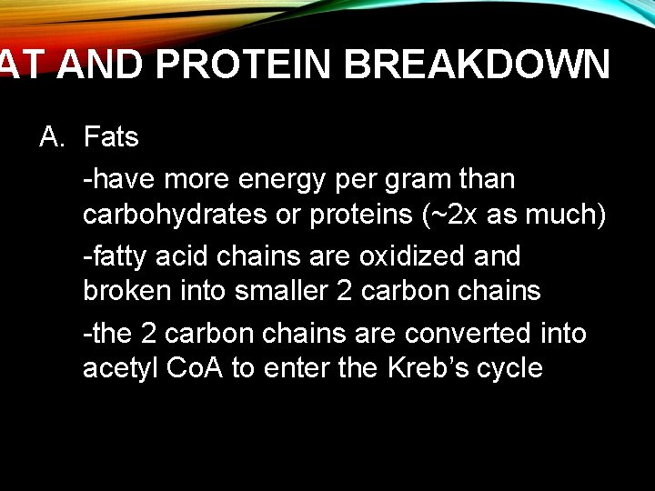 AT AND PROTEIN BREAKDOWN A. Fats -have more energy per gram than carbohydrates or