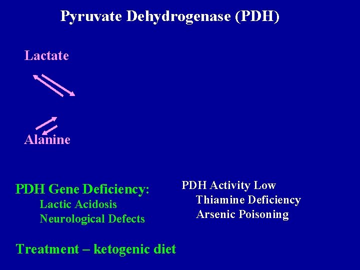 Pyruvate Dehydrogenase (PDH) Lactate Alanine PDH Gene Deficiency: Lactic Acidosis Neurological Defects Treatment –