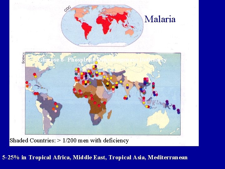 Malaria Glucose 6 - Phosphate Dehydrogenase Deficiency Shaded Countries: > 1/200 men with deficiency