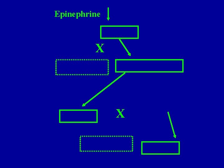 Epinephrine X X 