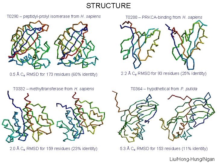 STRUCTURE T 0290 – peptidyl-prolyl isomerase from H. sapiens T 0288 – PRKCA-binding from