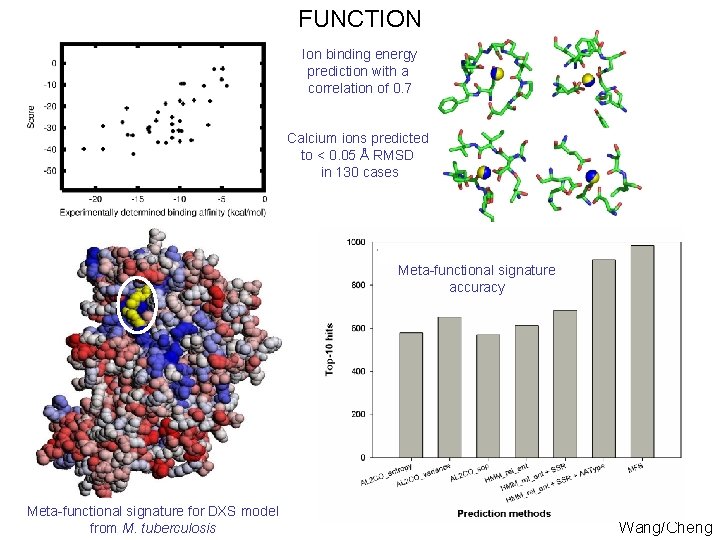 FUNCTION Ion binding energy prediction with a correlation of 0. 7 Calcium ions predicted