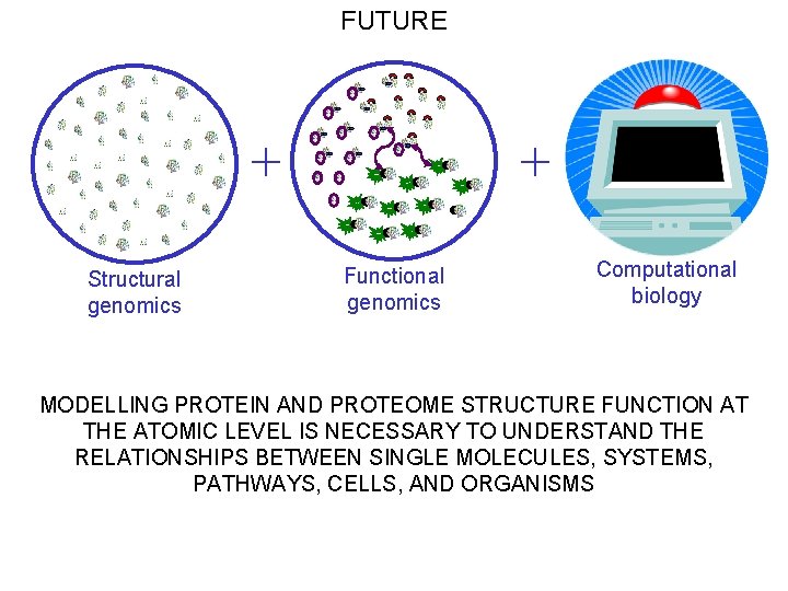 FUTURE + Structural genomics + Functional genomics Computational biology MODELLING PROTEIN AND PROTEOME STRUCTURE