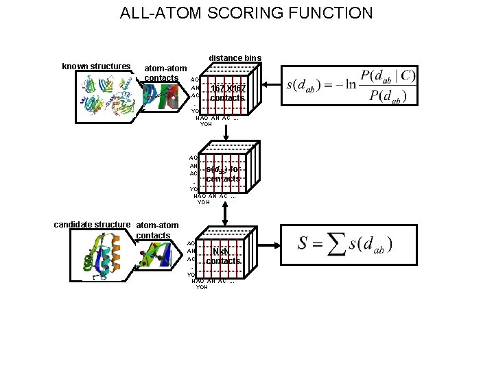 ALL-ATOM SCORING FUNCTION known structures distance bins atom-atom contacts AO AN 167 X 167