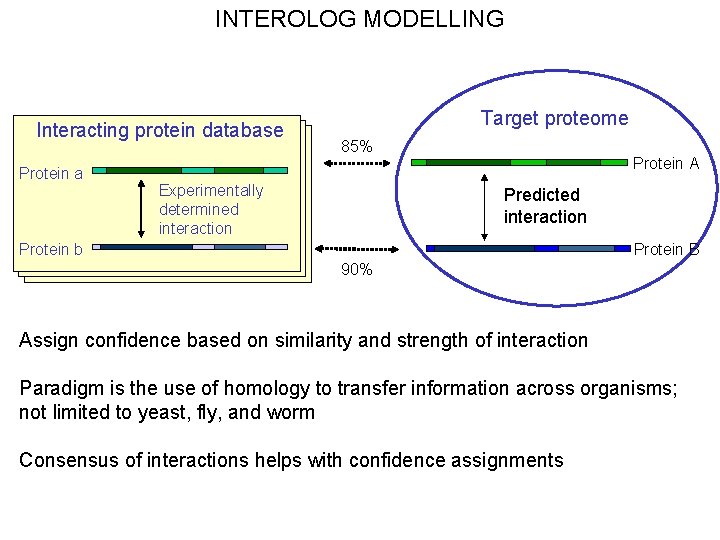 INTEROLOG MODELLING Interacting protein database Protein a Target proteome 85% Experimentally determined interaction Protein