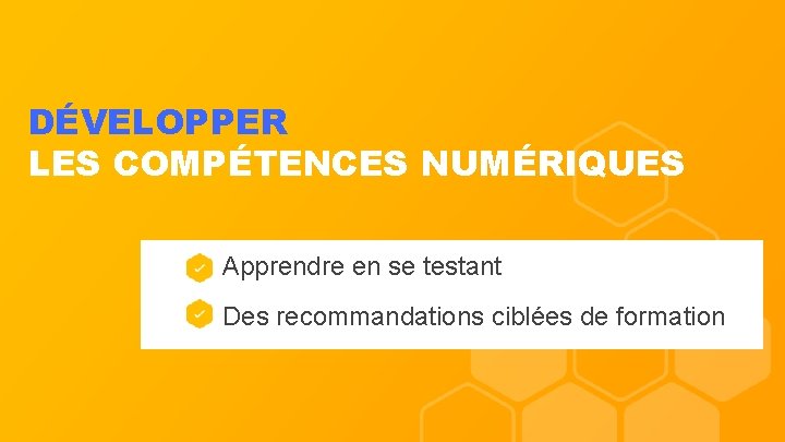DÉVELOPPER LES COMPÉTENCES NUMÉRIQUES Apprendre en se testant Des recommandations ciblées de formation 
