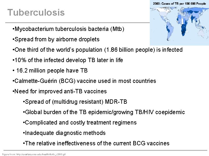 Tuberculosis • Mycobacterium tuberculosis bacteria (Mtb) • Spread from by airborne droplets • One