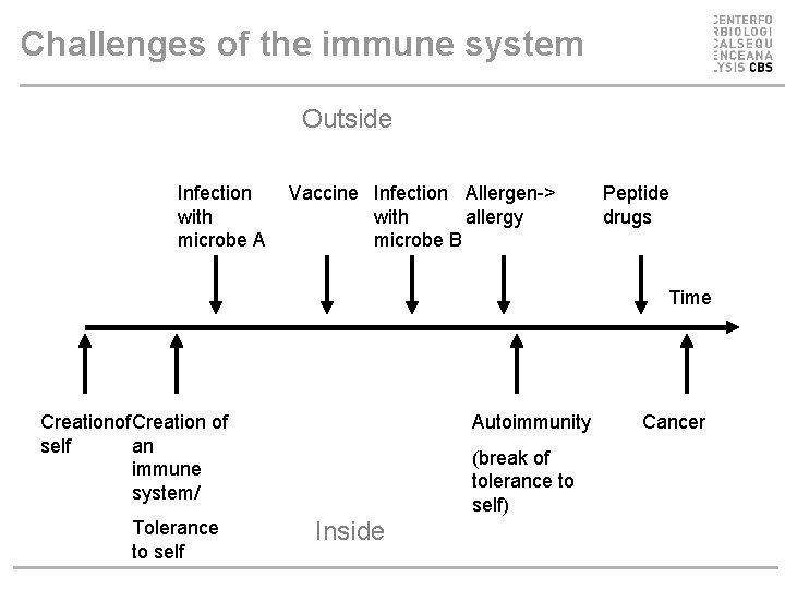 Challenges of the immune system Outside Infection with microbe A Vaccine Infection Allergen-> with