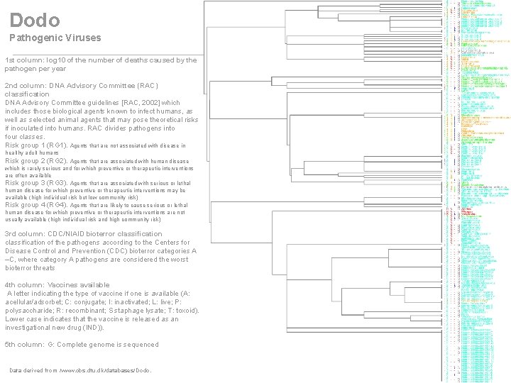 Dodo Pathogenic Viruses 1 st column: log 10 of the number of deaths caused