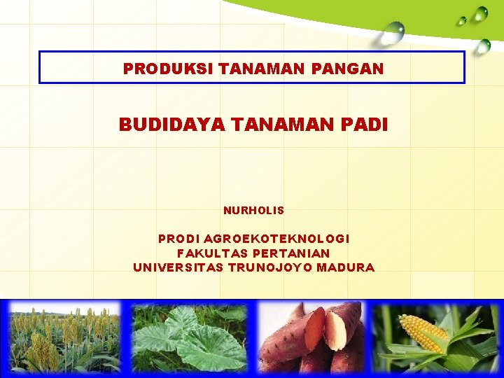 PRODUKSI TANAMAN PANGAN BUDIDAYA TANAMAN PADI NURHOLIS PRODI AGROEKOTEKNOLOGI FAKULTAS PERTANIAN UNIVERSITAS TRUNOJOYO MADURA