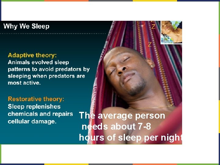 The average person needs about 7 -8 hours of sleep per night. 