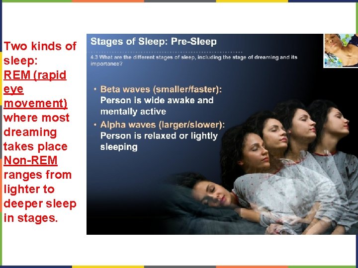 Two kinds of sleep: REM (rapid eye movement) where most dreaming takes place Non-REM