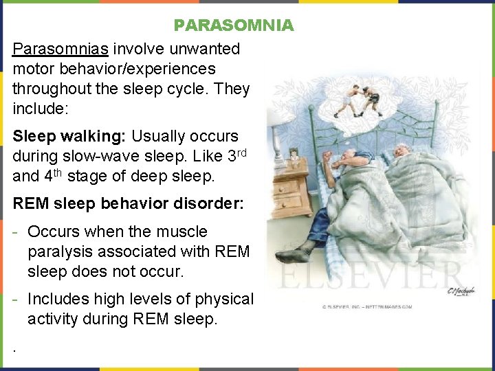 PARASOMNIA Parasomnias involve unwanted motor behavior/experiences throughout the sleep cycle. They include: Sleep walking: