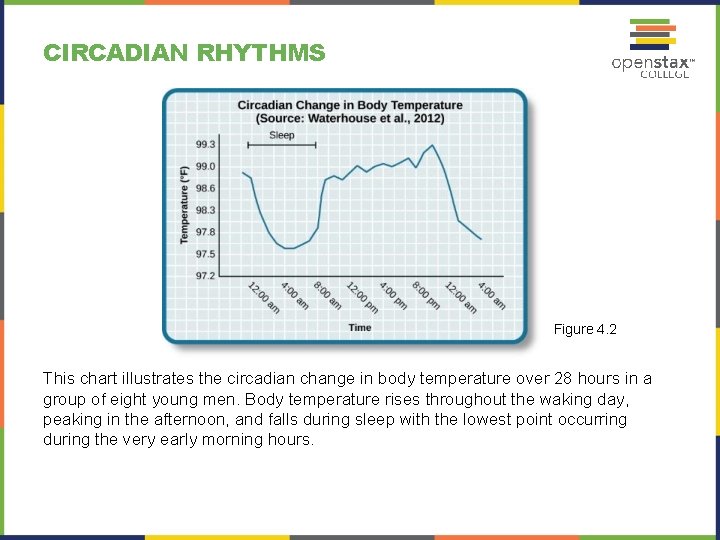 CIRCADIAN RHYTHMS Figure 4. 2 This chart illustrates the circadian change in body temperature