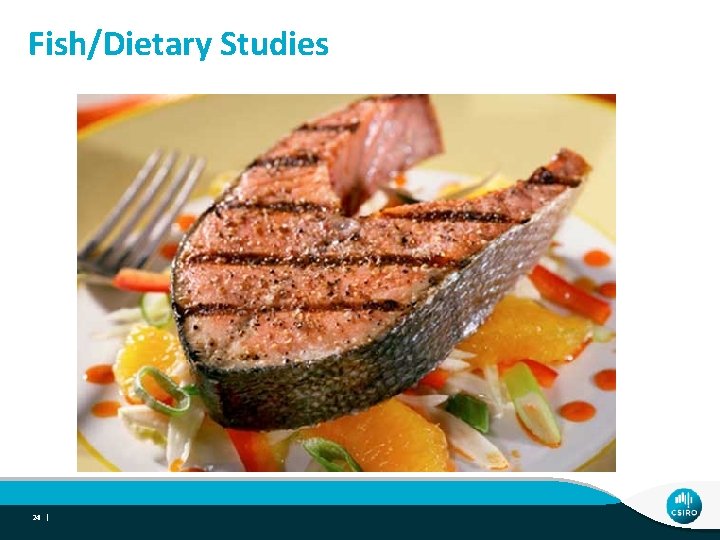 Fish/Dietary Studies 24 | 