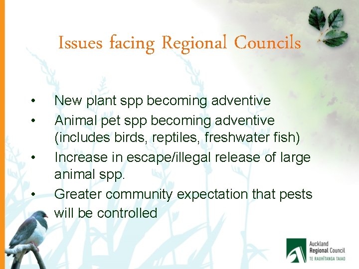 Issues facing Regional Councils • • New plant spp becoming adventive Animal pet spp