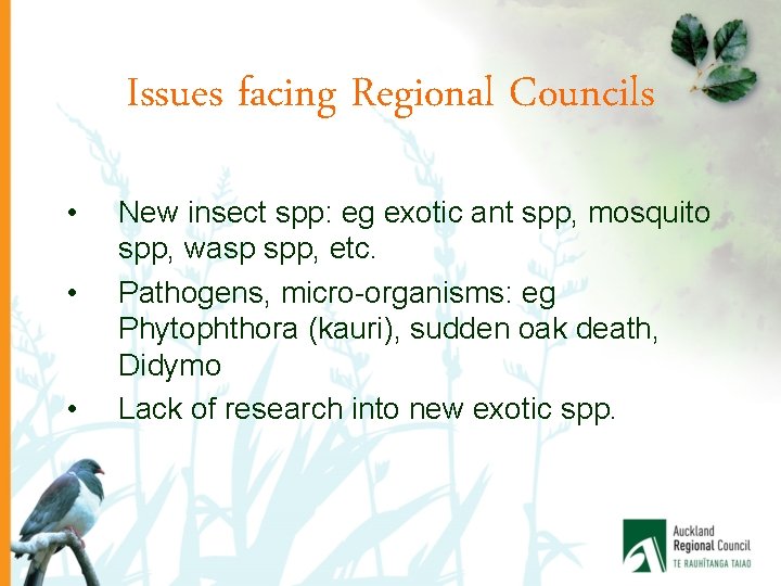 Issues facing Regional Councils • • • New insect spp: eg exotic ant spp,