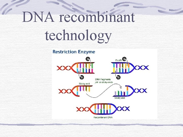 DNA recombinant technology 