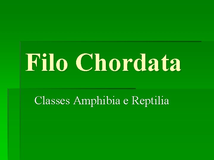 Filo Chordata Classes Amphibia e Reptilia 