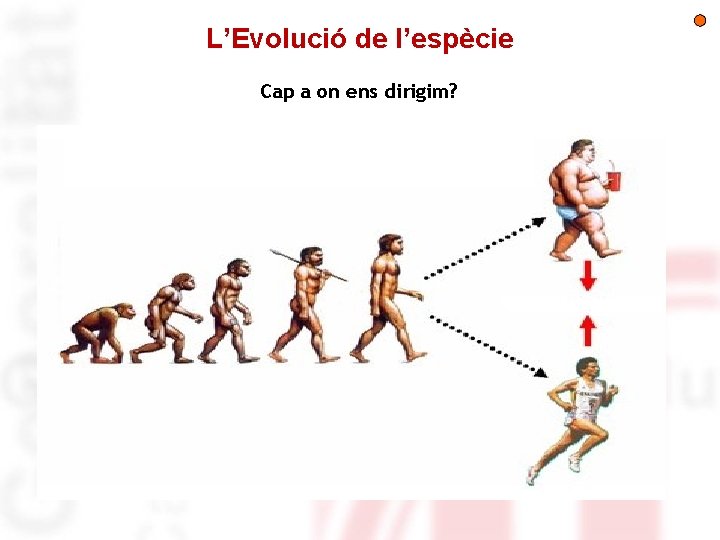 L’Evolució de l’espècie Cap a on ens dirigim? 